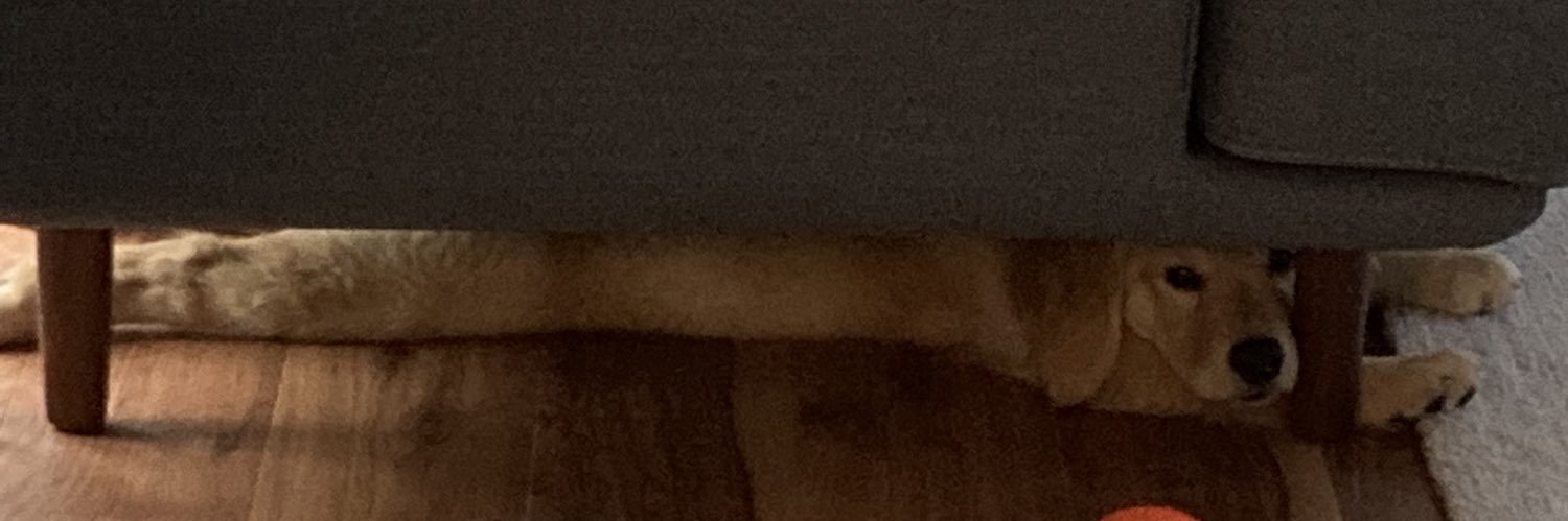 ぽりぴん banner
