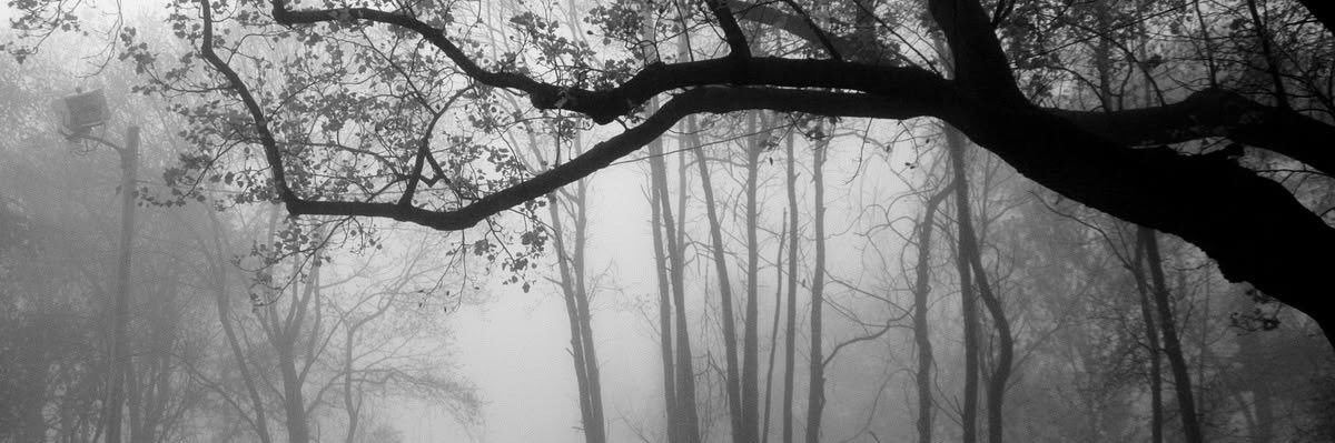 ૮ • ﻌ - ა⁩ banner