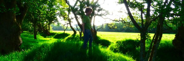 ChrisDBroughton Profile Banner