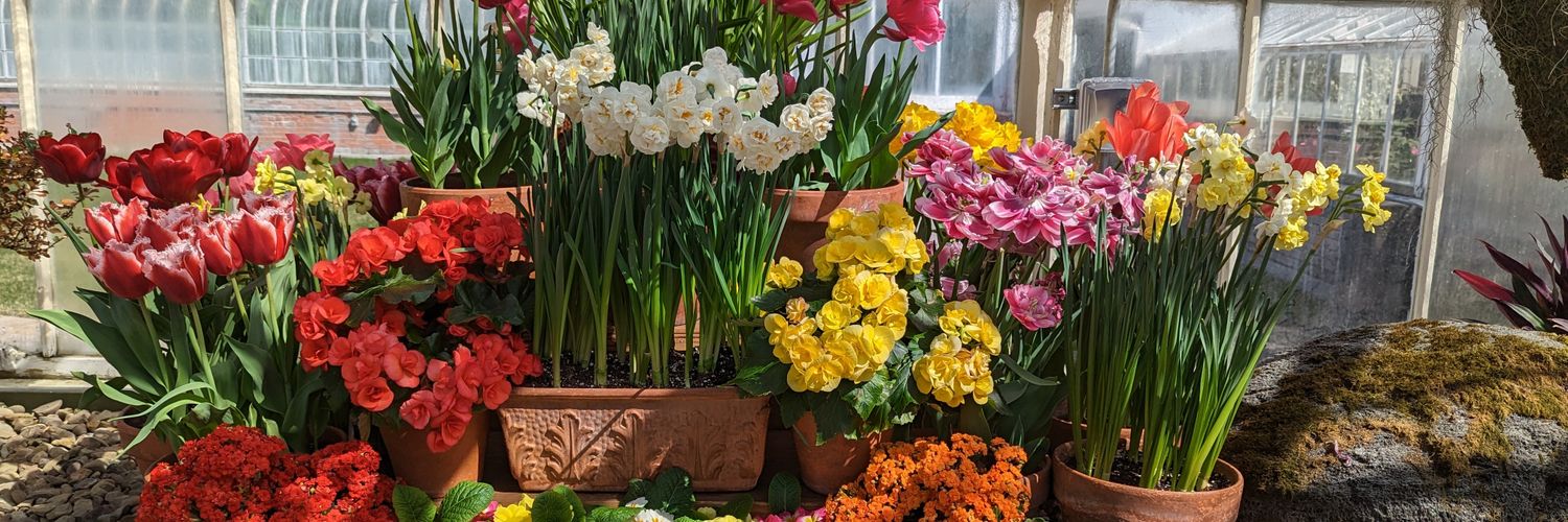 K1tsFleur's profile banner image