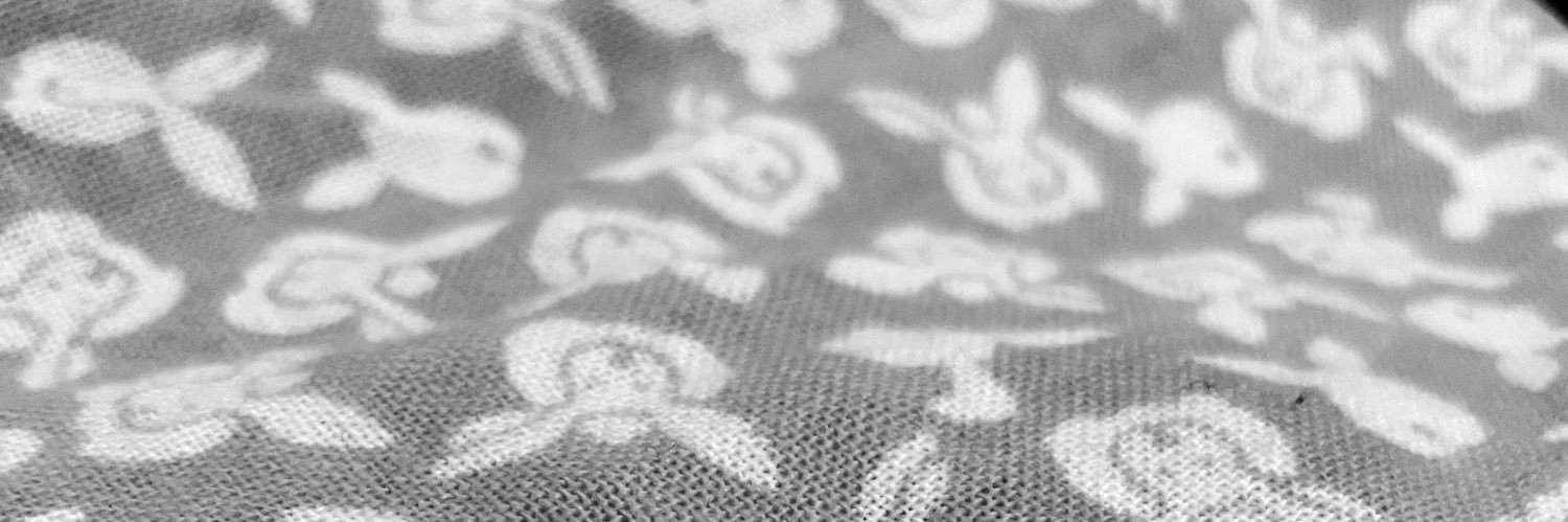 Peter Haas 🌹⚔️🎥 peterjhaas@bsky.social banner