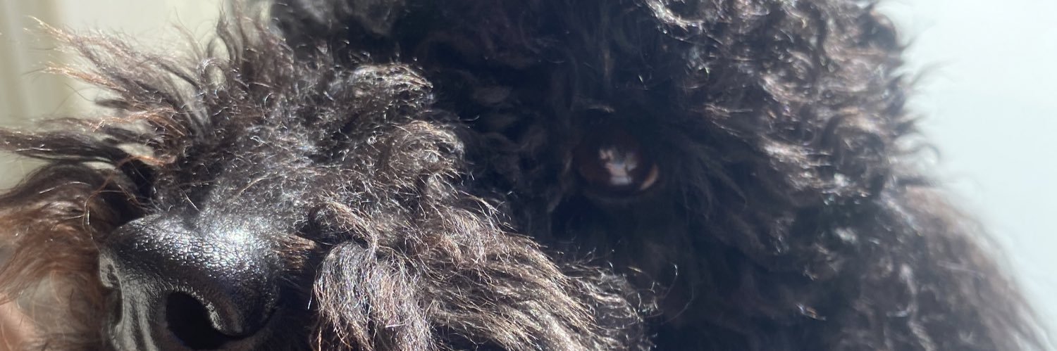Kalledix's profile banner image