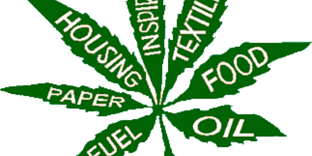 Weed Knowledge banner