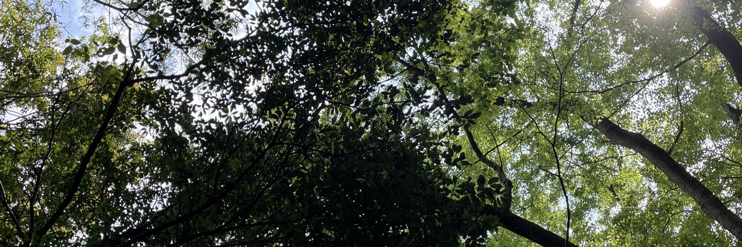 Ryo_Ta_gitc's profile banner image