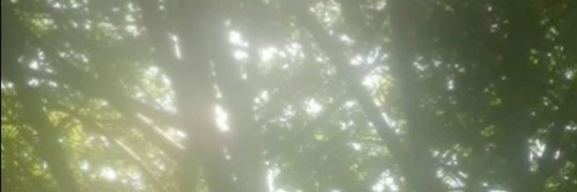 uiui_drama's profile banner image