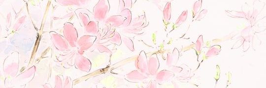scorpiontarotf's profile banner image