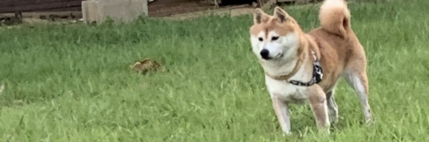 7vjczo's profile banner image
