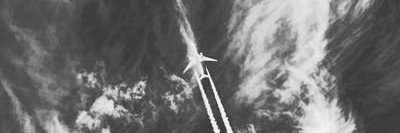 penguwaifuonsol banner