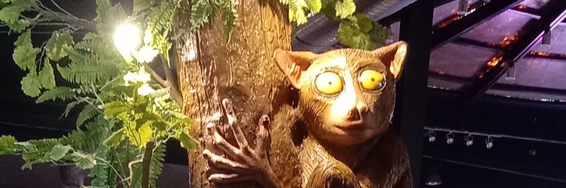 🐈‍⬛ banner