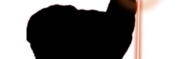 alpacasw Profile Banner