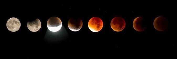 camialmenta's profile banner image