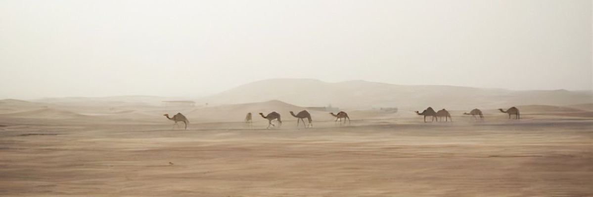 َ banner