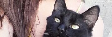 RocioOsler's profile banner image