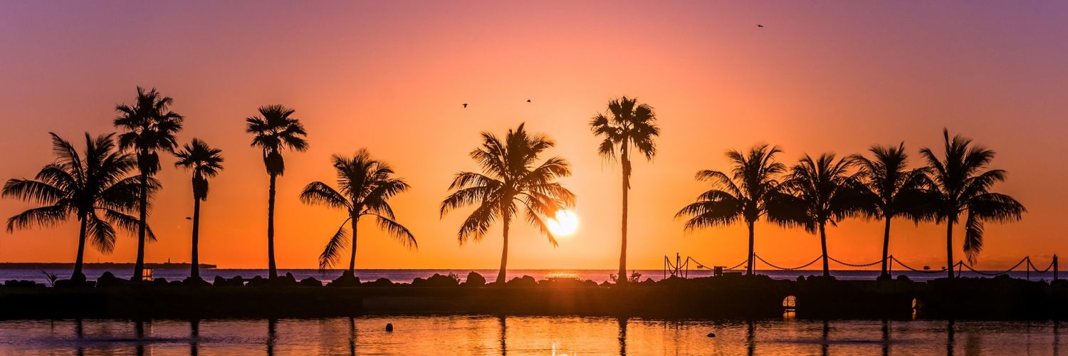 TamerRealty's profile banner image