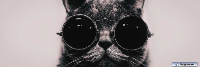 marcosbarisson's profile banner image