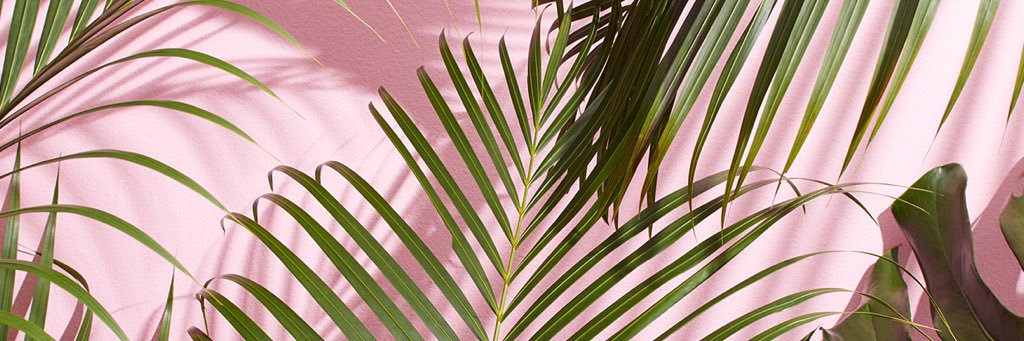 JatotheDuh's profile banner image