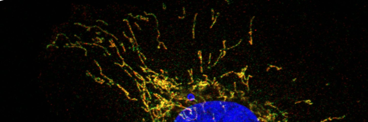 Garbincius Lab banner