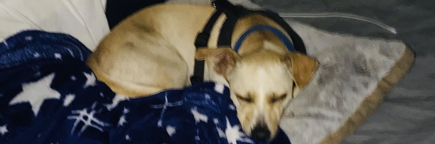 Crystal ♪💎 banner