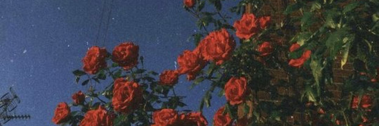 maitegonn's profile banner image