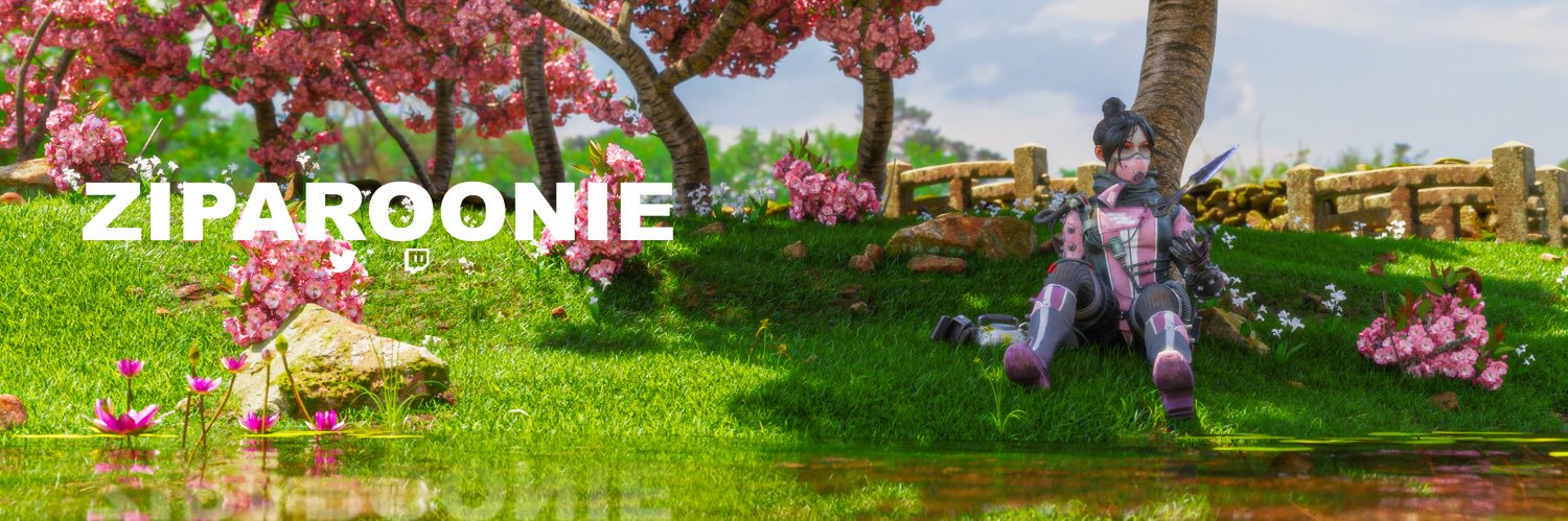 Ziparino's profile banner image