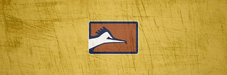 Fuerza Azul Naranja banner