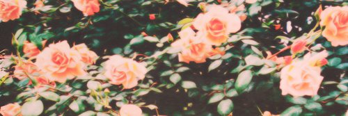 KiaraCrowe's profile banner image