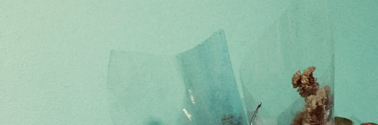 tghllseex's profile banner image