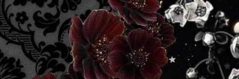 Luna Patterson banner