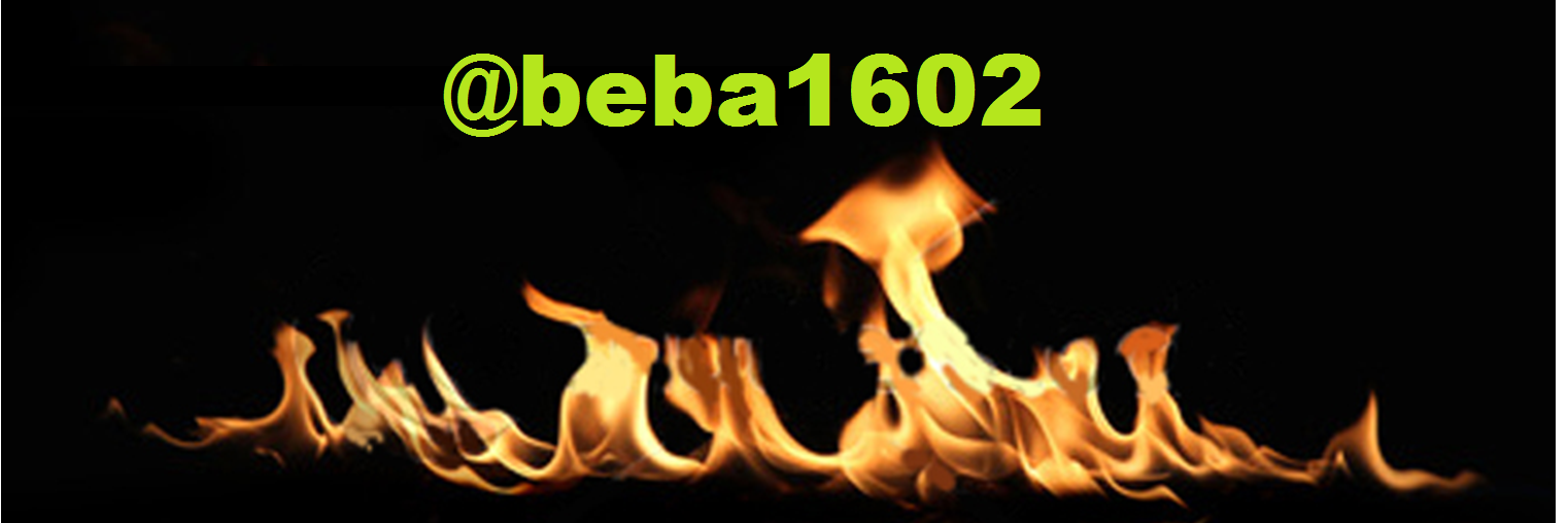beba1602's profile banner image