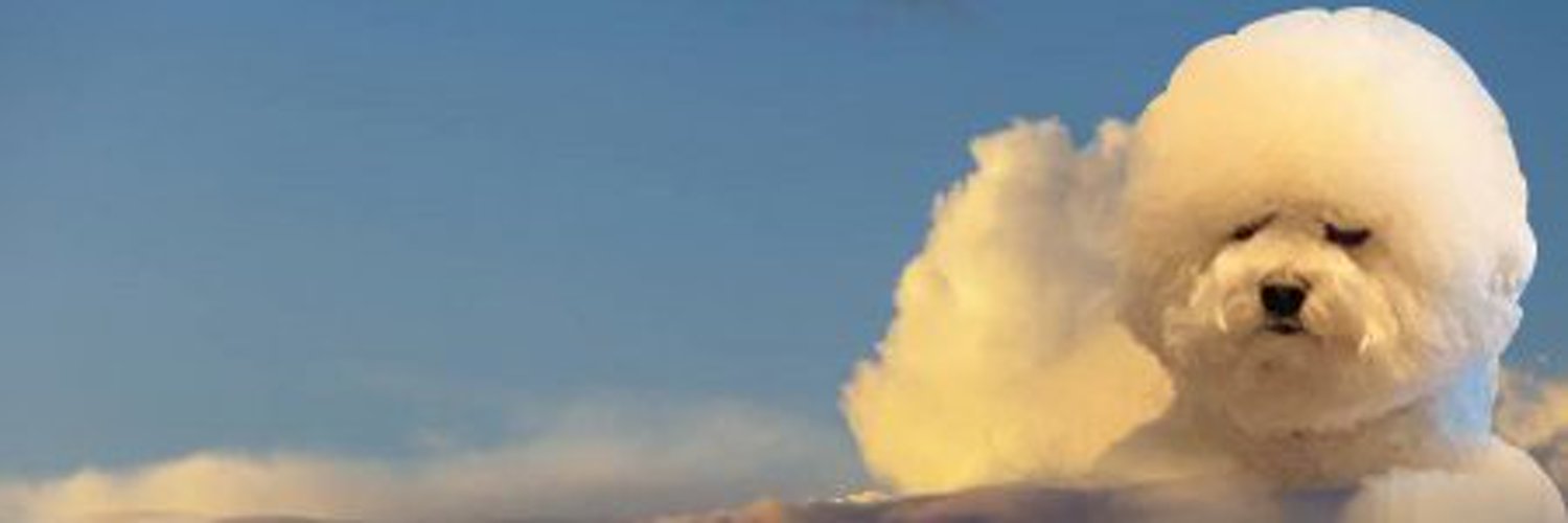 mpauIaa's profile banner image