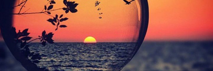 ferchananda's profile banner image