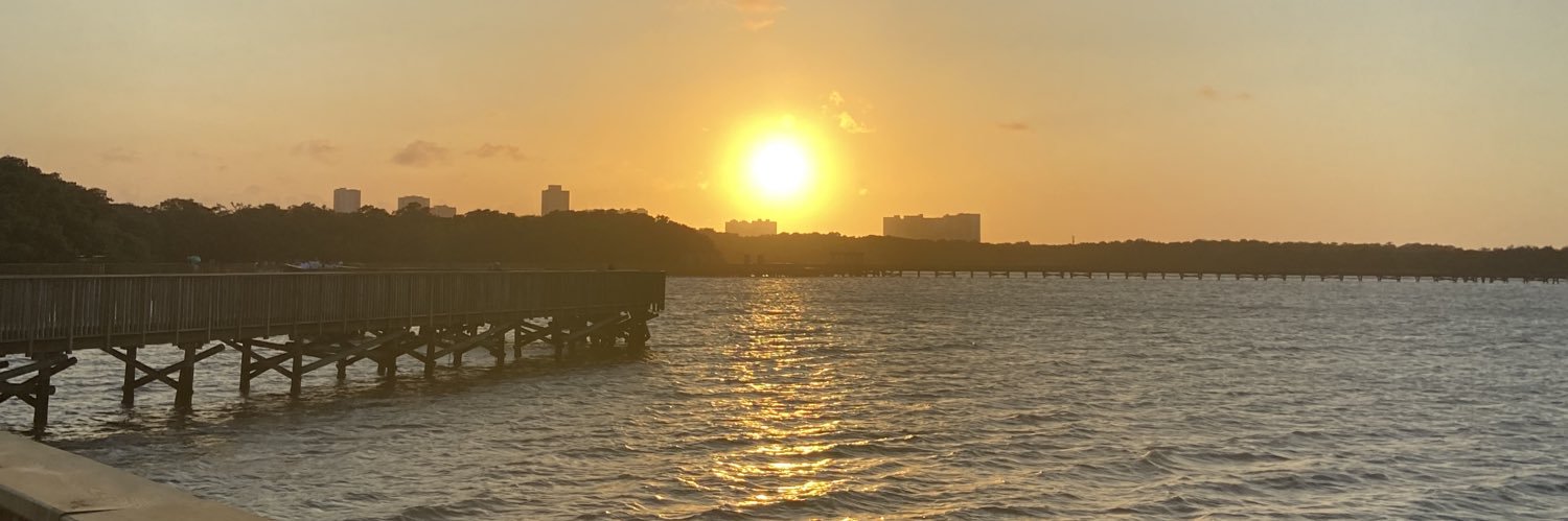 lvalencia__'s profile banner image