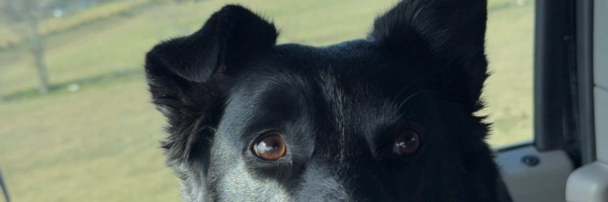 JacobWilk22's profile banner image