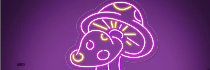 Joeyyo_'s profile banner image