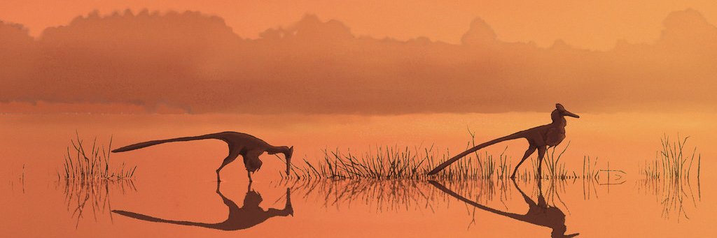 GarrettSoiland's profile banner image