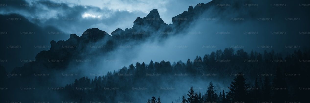 Michal2555's profile banner image