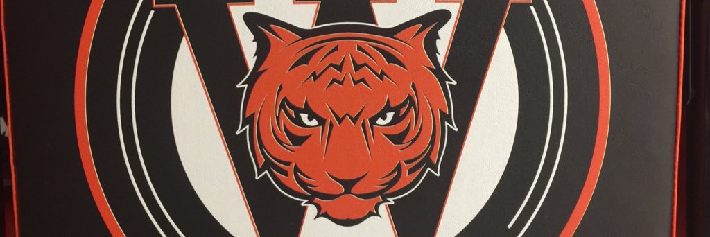 Waynesville Hoops banner