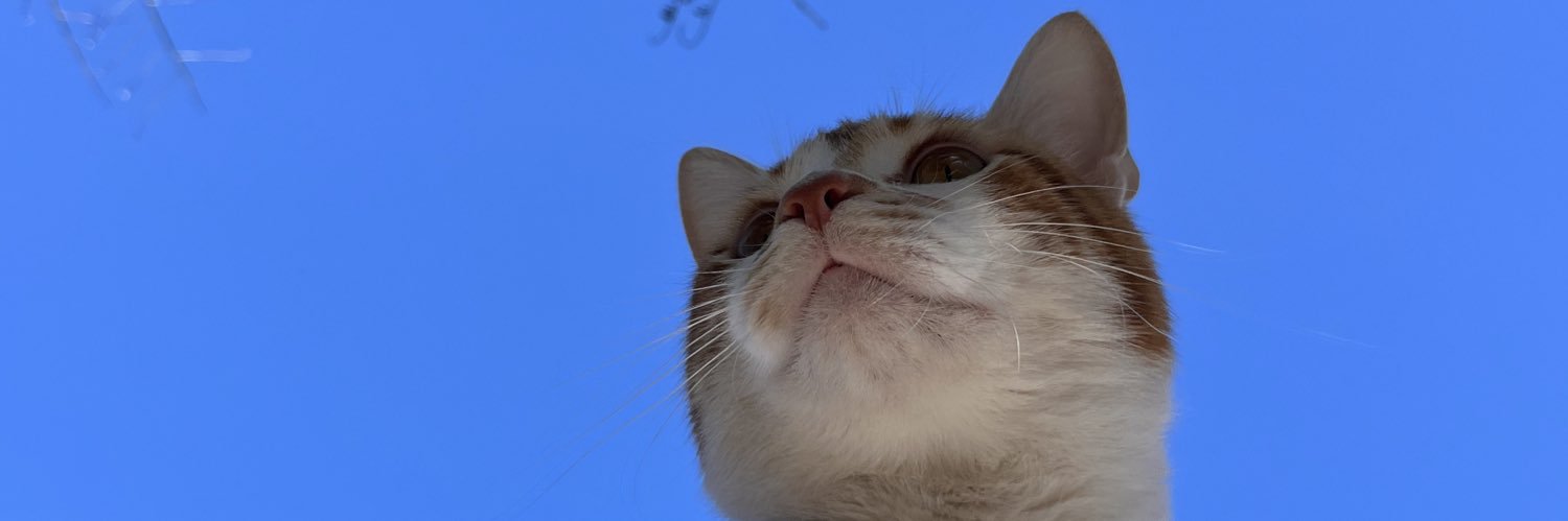 yaninaz_'s profile banner image