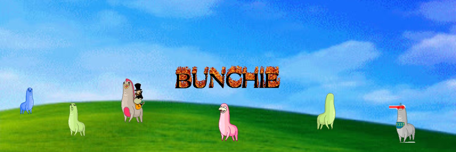 bunchiedotfun's profile banner image
