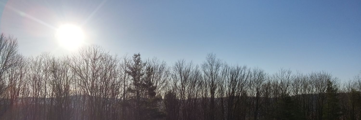 tlcdesignr's profile banner image