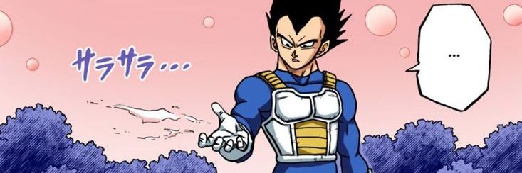Prince_Vegeta30's profile banner image