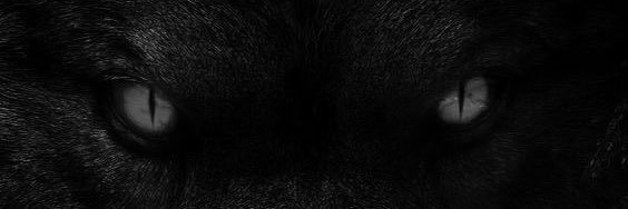 laz ziyanın damadı çakır banner