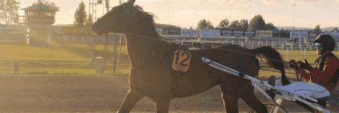 danielernlund's profile banner image