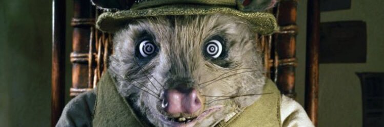 lzorak22's profile banner image
