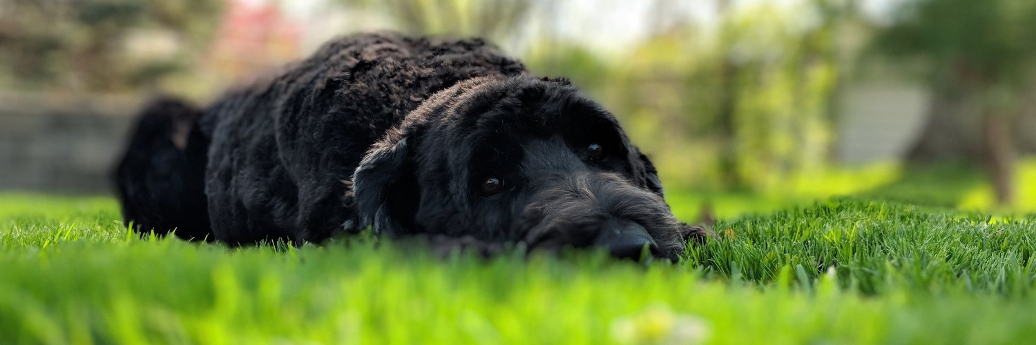 marshjr's profile banner image