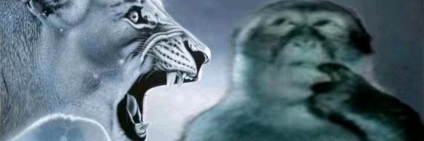 Bingus30678 Profile Banner