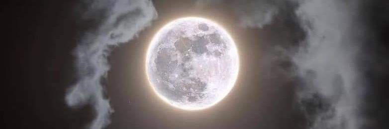 Perladarkness's profile banner image