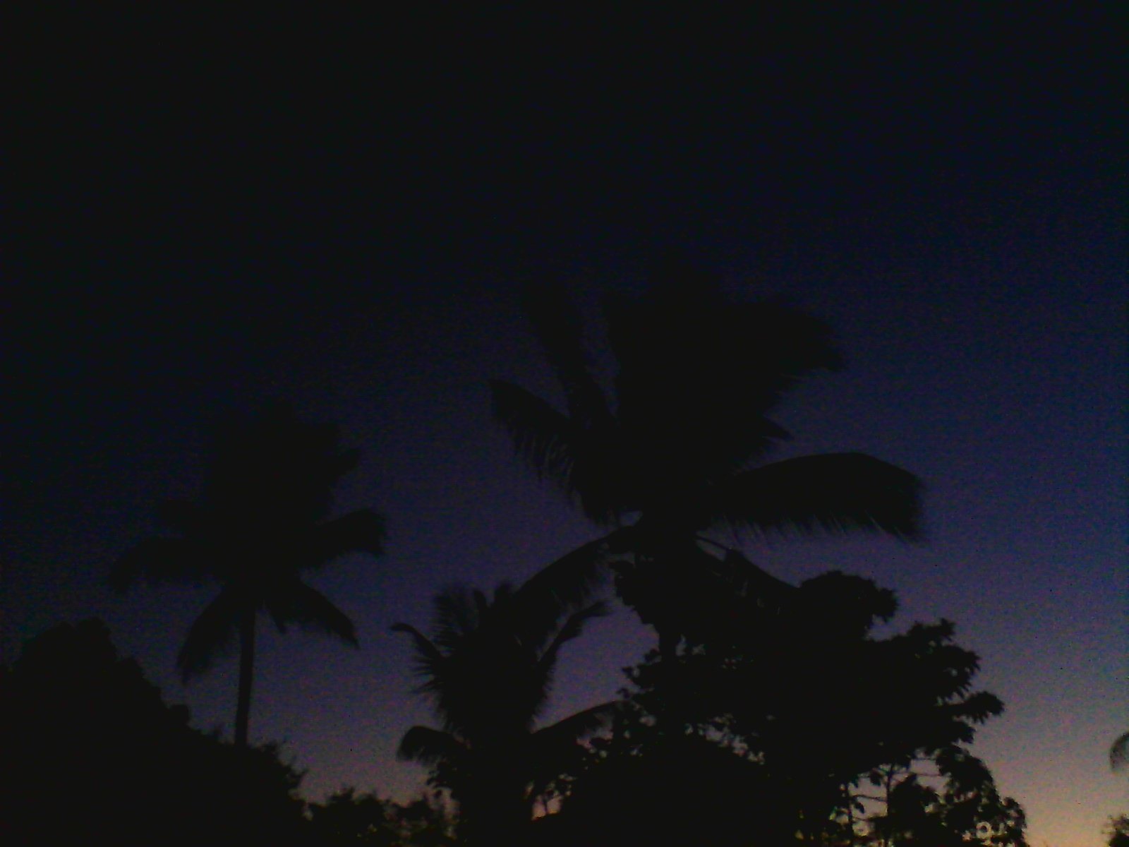 noesquema01's profile banner image