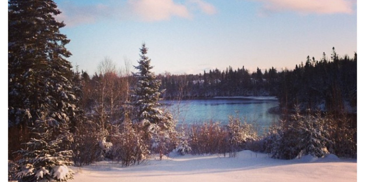 cameroncraigpei's profile banner image
