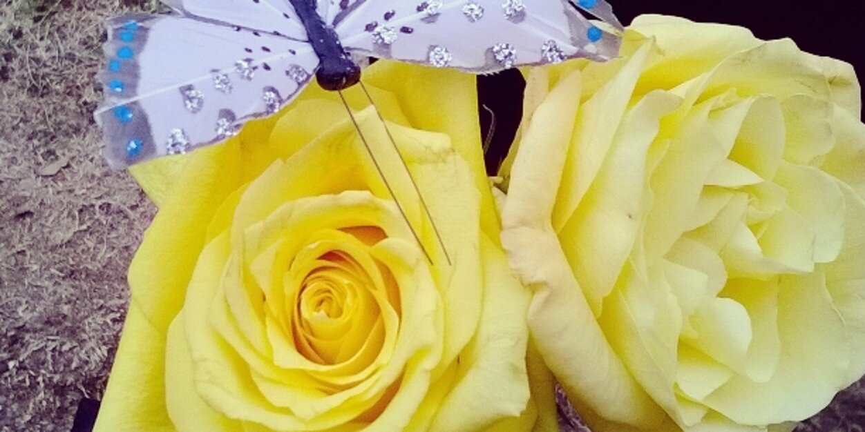 baileymrrw's profile banner image